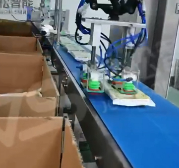 Project Video: Flexible Robot Packaging and Palletizing for Various Frozen Pastries